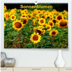 Buchcover Sonnenblumen (hochwertiger Premium Wandkalender 2024 DIN A2 quer), Kunstdruck in Hochglanz | Dorothea Schulz | EAN 9783675904613 | ISBN 3-675-90461-X | ISBN 978-3-675-90461-3