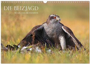 Buchcover Die Beizjagd (Wandkalender 2024 DIN A3 quer), CALVENDO Monatskalender | Wolfgang Brandmeier | EAN 9783675964266 | ISBN 3-675-96426-4 | ISBN 978-3-675-96426-6