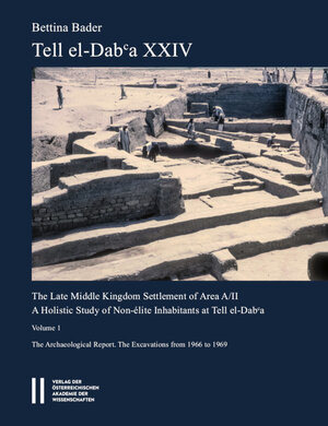 Buchcover Tell el-Dabʿa XXIV | Bettina Bader | EAN 9783700182245 | ISBN 3-7001-8224-4 | ISBN 978-3-7001-8224-5