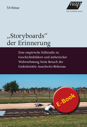 Buchcover Storyboards der Erinnerung | Till Hilmar | EAN 9783700321613 | ISBN 3-7003-2161-9 | ISBN 978-3-7003-2161-3