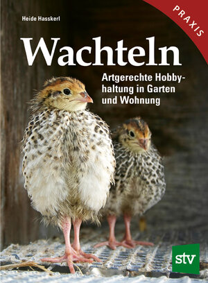 Buchcover Wachteln | Heide Hasskerl | EAN 9783702020088 | ISBN 3-7020-2008-X | ISBN 978-3-7020-2008-8