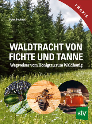 Buchcover Waldtracht von Fichte und Tanne | Peter Buchner | EAN 9783702022594 | ISBN 3-7020-2259-7 | ISBN 978-3-7020-2259-4