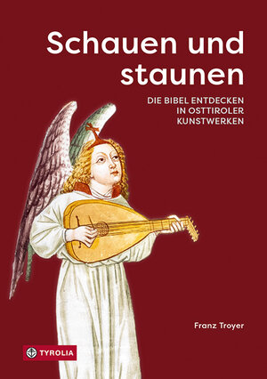 Buchcover Schauen und staunen | Franz Troyer | EAN 9783702241001 | ISBN 3-7022-4100-0 | ISBN 978-3-7022-4100-1