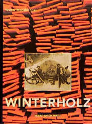 Buchcover Winterholz | Walter Mooslechner | EAN 9783702503642 | ISBN 3-7025-0364-1 | ISBN 978-3-7025-0364-2