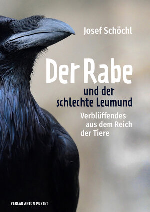 Buchcover Der Rabe und der schlechte Leumund | Josef Schöchl | EAN 9783702580964 | ISBN 3-7025-8096-4 | ISBN 978-3-7025-8096-4