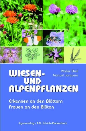 Wiesen- und Alpenpflanzen: Erkennen an den Blättern - Freuen an den Blüten