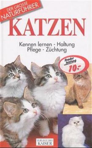 Katzen: kennen lernen, Haltung, Pflege, Züchtung