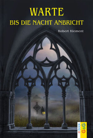 Buchcover Warte bis die Nacht anbricht | Robert Klement | EAN 9783707417050 | ISBN 3-7074-1705-0 | ISBN 978-3-7074-1705-0