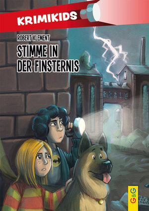Buchcover KrimiKids - Stimme in der Finsternis | Robert Klement | EAN 9783707421378 | ISBN 3-7074-2137-6 | ISBN 978-3-7074-2137-8