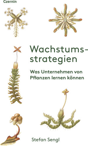 Buchcover Wachstumsstrategien | Stefan Sengl | EAN 9783707605952 | ISBN 3-7076-0595-7 | ISBN 978-3-7076-0595-2