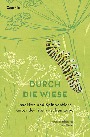 Buchcover Durch die Wiese  | EAN 9783707608434 | ISBN 3-7076-0843-3 | ISBN 978-3-7076-0843-4