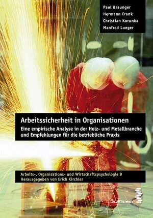 Buchcover Arbeitssicherheit in Organisationen | Paul Braunger | EAN 9783708904498 | ISBN 3-7089-0449-4 | ISBN 978-3-7089-0449-8