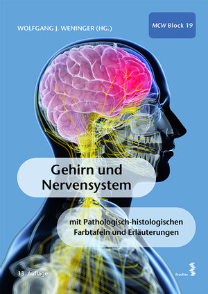 Buchcover Gehirn und Nervensystem  | EAN 9783708918358 | ISBN 3-7089-1835-5 | ISBN 978-3-7089-1835-8