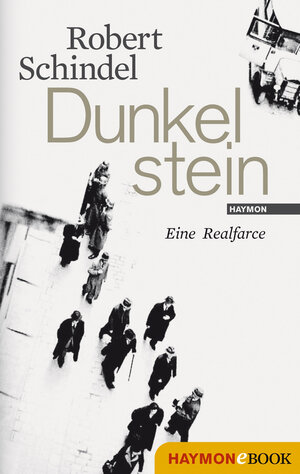 Buchcover Dunkelstein | Robert Schindel | EAN 9783709977507 | ISBN 3-7099-7750-9 | ISBN 978-3-7099-7750-7
