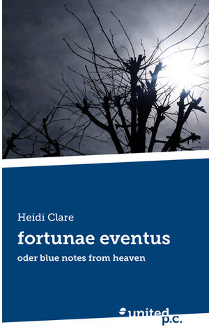 Buchcover fortunae eventus | Heidi Clare | EAN 9783710336225 | ISBN 3-7103-3622-8 | ISBN 978-3-7103-3622-5