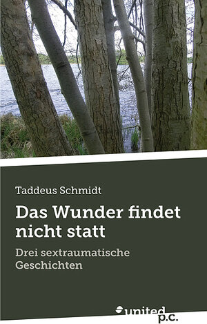 Buchcover Das Wunder findet nicht statt | Taddeus Schmidt | EAN 9783710346026 | ISBN 3-7103-4602-9 | ISBN 978-3-7103-4602-6
