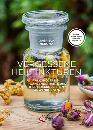 Buchcover Vergessene Heiltinkturen | Gabriela Nedoma | EAN 9783710401503 | ISBN 3-7104-0150-X | ISBN 978-3-7104-0150-3