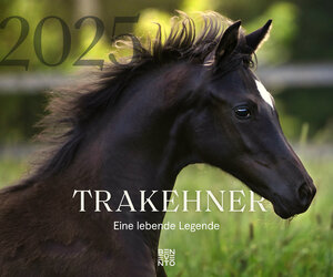 Buchcover Trakehner 2025  | EAN 9783710901782 | ISBN 3-7109-0178-2 | ISBN 978-3-7109-0178-2