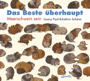 Buchcover Das Beste überhaupt | Lorenz Pauli | EAN 9783715206660 | ISBN 3-7152-0666-7 | ISBN 978-3-7152-0666-0