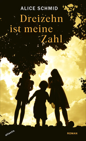 Buchcover Dreizehn ist meine Zahl | Alice Schmid | EAN 9783715275611 | ISBN 3-7152-7561-8 | ISBN 978-3-7152-7561-1