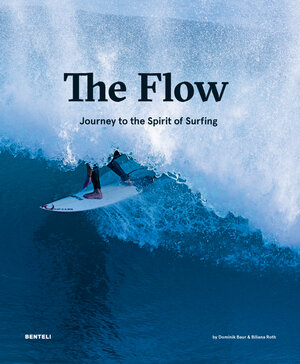 Buchcover The Flow | Baur Dominik | EAN 9783716518601 | ISBN 3-7165-1860-3 | ISBN 978-3-7165-1860-1
