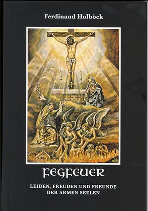 Buchcover Fegfeuer | Ferdinand Holböck | EAN 9783717107095 | ISBN 3-7171-0709-7 | ISBN 978-3-7171-0709-5