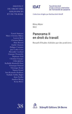 Buchcover Panorama II en droit du travail | Rémy Wyler | EAN 9783727222306 | ISBN 3-7272-2230-1 | ISBN 978-3-7272-2230-6