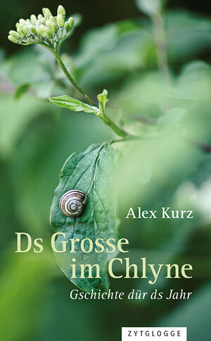 Buchcover Ds Grosse im Chlyne | Alex Kurz | EAN 9783729608566 | ISBN 3-7296-0856-8 | ISBN 978-3-7296-0856-6