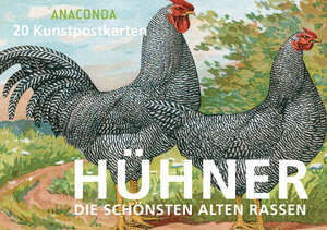Buchcover Postkartenbuch Hühner | Anaconda Verlag | EAN 9783730606797 | ISBN 3-7306-0679-4 | ISBN 978-3-7306-0679-7