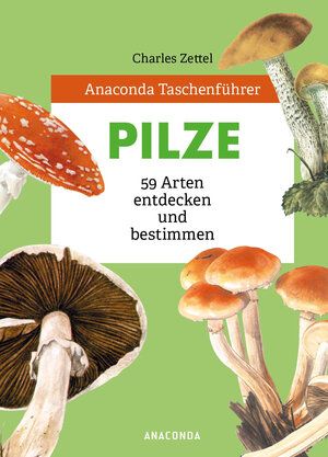 Buchcover Anaconda Taschenführer Pilze. 59 Arten entdecken und bestimmen | Charles Zettel | EAN 9783730609002 | ISBN 3-7306-0900-9 | ISBN 978-3-7306-0900-2