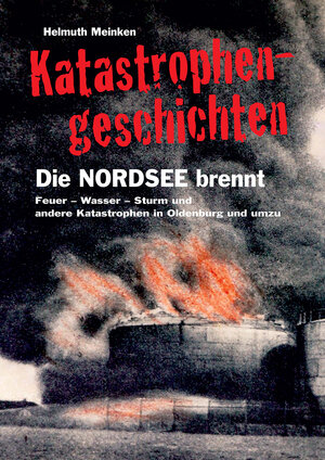 Buchcover Katastrophengeschichten | Helmuth Meinken | EAN 9783730815441 | ISBN 3-7308-1544-X | ISBN 978-3-7308-1544-1
