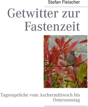 Buchcover Getwitter zur Fastenzeit | Stefan Fleischer | EAN 9783732204458 | ISBN 3-7322-0445-6 | ISBN 978-3-7322-0445-8