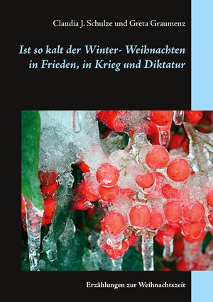 Buchcover Ist so kalt der Winter | Claudia J. Schulze | EAN 9783732254262 | ISBN 3-7322-5426-7 | ISBN 978-3-7322-5426-2