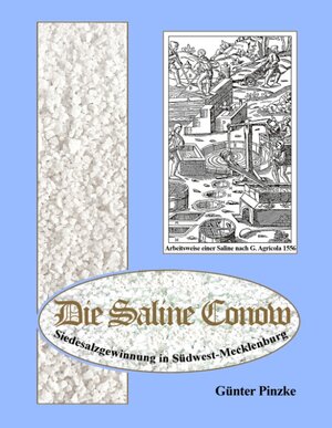 Buchcover Die Saline Conow | Günter Pinzke | EAN 9783732278602 | ISBN 3-7322-7860-3 | ISBN 978-3-7322-7860-2