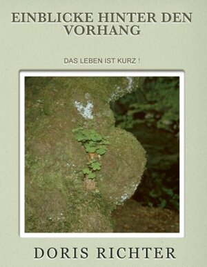 Buchcover Einblicke hinter den Vorhang  | EAN 9783732279456 | ISBN 3-7322-7945-6 | ISBN 978-3-7322-7945-6