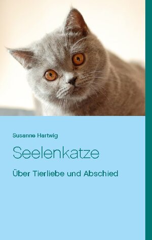 Buchcover Seelenkatze | Susanne Hartwig | EAN 9783732279487 | ISBN 3-7322-7948-0 | ISBN 978-3-7322-7948-7