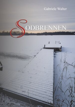 Buchcover Sodbrennen | Gabriele Walter | EAN 9783732299676 | ISBN 3-7322-9967-8 | ISBN 978-3-7322-9967-6
