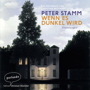 Buchcover Wenn es dunkel wird | Peter Stamm | EAN 9783732471331 | ISBN 3-7324-7133-0 | ISBN 978-3-7324-7133-1