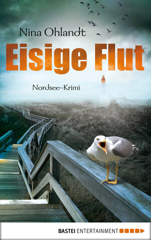 Buchcover Eisige Flut | Nina Ohlandt | EAN 9783732549245 | ISBN 3-7325-4924-0 | ISBN 978-3-7325-4924-5