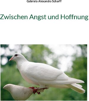 Buchcover Zwischen Angst und Hoffnung | Gabriela Alexandra Scharff | EAN 9783734719257 | ISBN 3-7347-1925-9 | ISBN 978-3-7347-1925-7