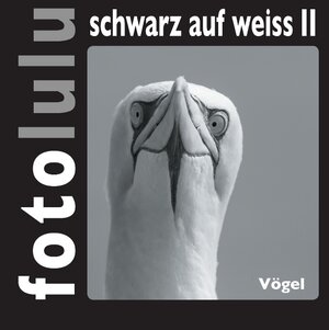 Buchcover fotolulu schwarz auf weiss II | fotolulu | EAN 9783734750670 | ISBN 3-7347-5067-9 | ISBN 978-3-7347-5067-0