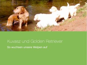 Buchcover Kuvasz und Golden Retriever | Katrin Lösch | EAN 9783734797910 | ISBN 3-7347-9791-8 | ISBN 978-3-7347-9791-0