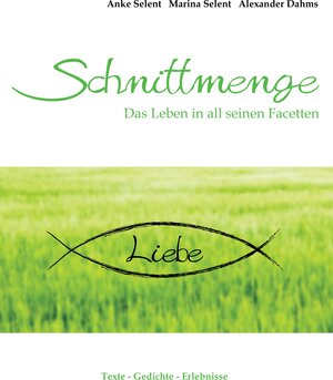 Buchcover Schnittmenge Liebe | EAN 9783735740656 | ISBN 3-7357-4065-0 | ISBN 978-3-7357-4065-6