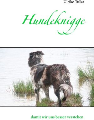 Buchcover Hundeknigge | Ulrike Tulka | EAN 9783735784810 | ISBN 3-7357-8481-X | ISBN 978-3-7357-8481-0