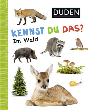 Buchcover Duden 12+: Kennst du das? Im Wald  | EAN 9783737334310 | ISBN 3-7373-3431-5 | ISBN 978-3-7373-3431-0