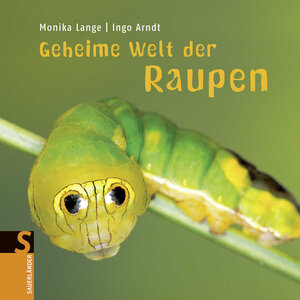 Buchcover Geheime Welt der Raupen | Monika Lange | EAN 9783737364041 | ISBN 3-7373-6404-4 | ISBN 978-3-7373-6404-1