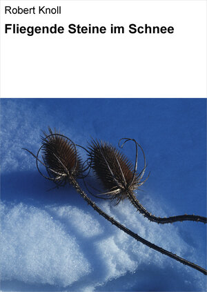 Buchcover Fliegende Steine im Schnee | Robert Knoll | EAN 9783738014334 | ISBN 3-7380-1433-0 | ISBN 978-3-7380-1433-4