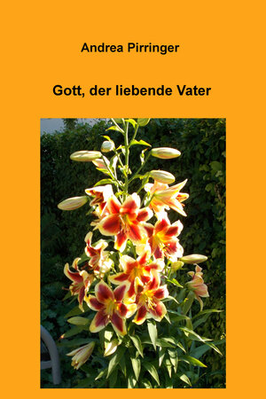 Buchcover Gott, der liebende Vater | Andrea Pirringer | EAN 9783738034004 | ISBN 3-7380-3400-5 | ISBN 978-3-7380-3400-4