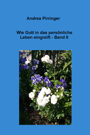 Buchcover Wie Gott in das persönliche Leben eingreift - Band 6 | Andrea Pirringer | EAN 9783738053111 | ISBN 3-7380-5311-5 | ISBN 978-3-7380-5311-1