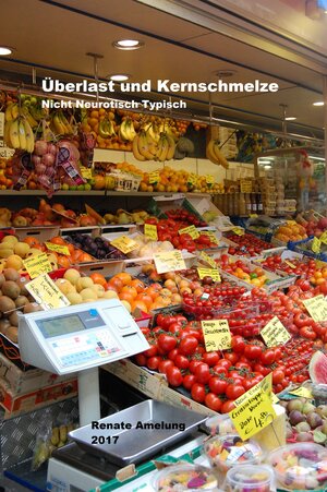 Buchcover Überlast und Kernschmelze | Renate Amelung | EAN 9783738097009 | ISBN 3-7380-9700-7 | ISBN 978-3-7380-9700-9